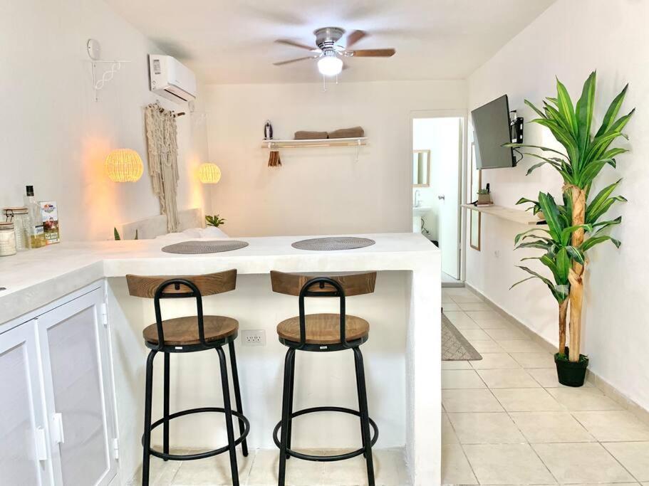 Casa Anuiti Centrica Ubicacion. Apartment San Jose del Cabo Bagian luar foto