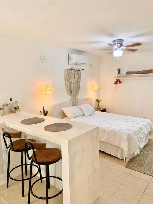 Casa Anuiti Centrica Ubicacion. Apartment San Jose del Cabo Bagian luar foto