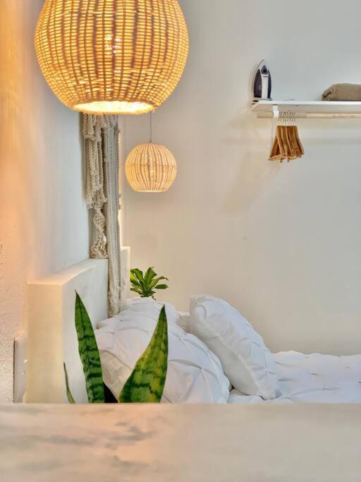 Casa Anuiti Centrica Ubicacion. Apartment San Jose del Cabo Bagian luar foto