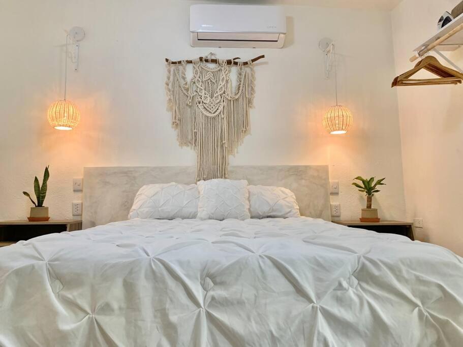 Casa Anuiti Centrica Ubicacion. Apartment San Jose del Cabo Bagian luar foto
