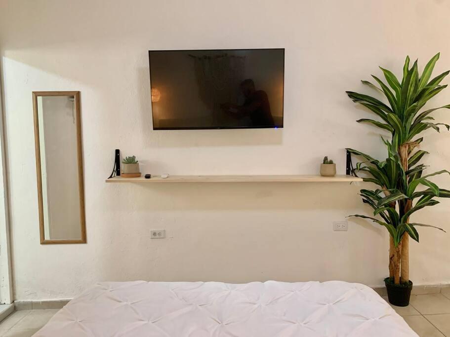 Casa Anuiti Centrica Ubicacion. Apartment San Jose del Cabo Bagian luar foto